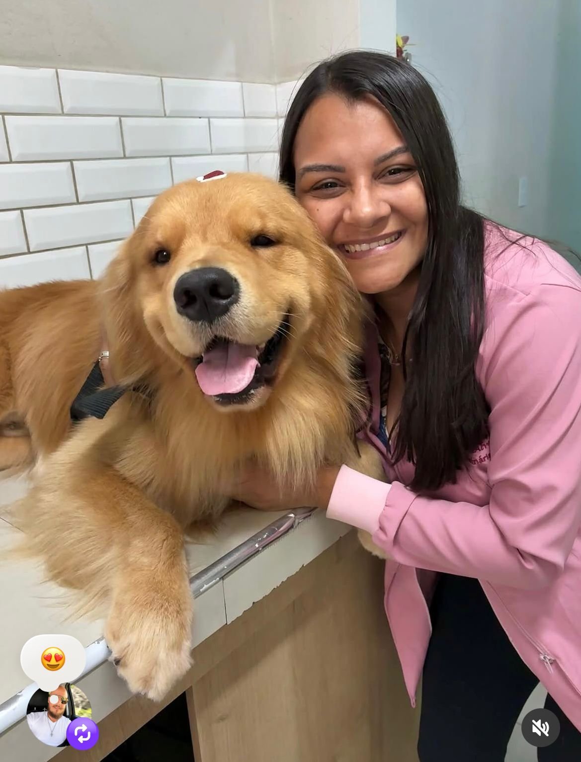 Dra. Isabela Alves com um golden retriever na clínica