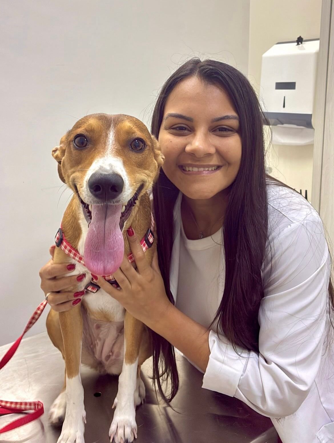 Dra. Isabela Alves ao lado de um cão sem raça definida na mesa de atendimento