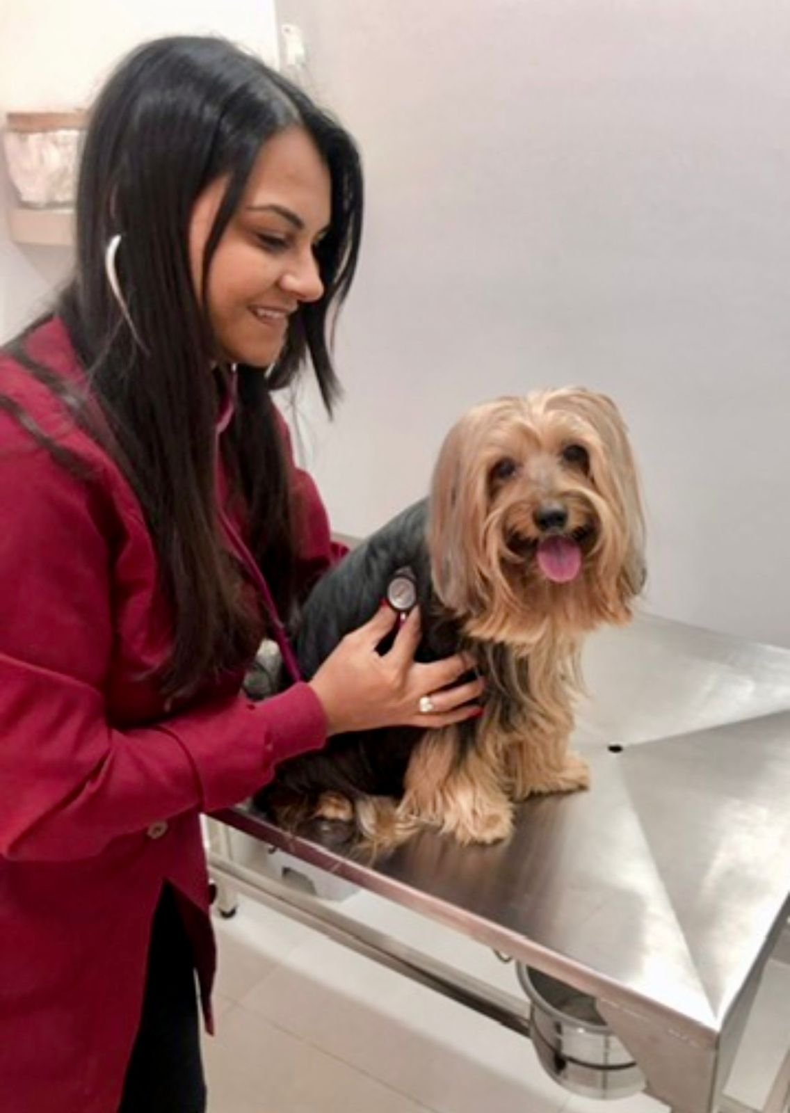 Dra. Isabela Alves auscultando um cão na clínica Vetpet
